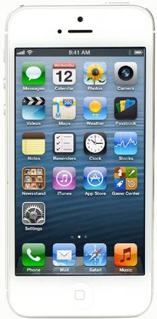 Смартфон Apple iPhone 5 32Gb White & Silver - Буйнакск